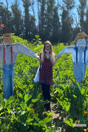 Original 2000 px/ 3000 px