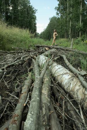 Original 2592 px/ 3888 px