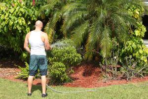 Original 5760 px/ 3840 px