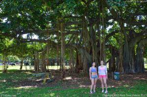 Original 4928 px/ 3280 px