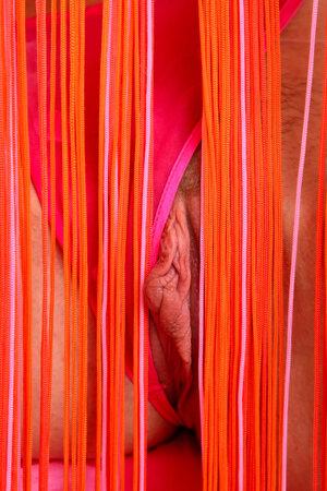 Original 2336 px/ 3504 px