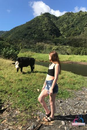 Original 2000 px/ 3000 px