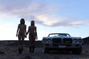 Original 2491 px/ 1663 px