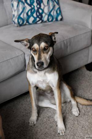 Original 1280 px/ 1920 px