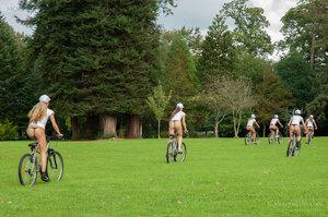 Original 3000 px/ 1993 px