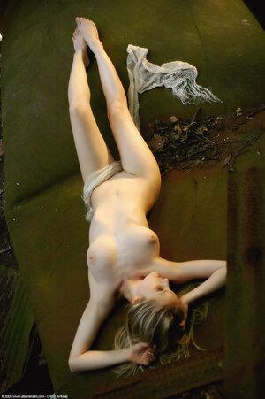 Original 1021 px/ 1536 px