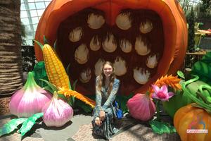 Original 3000 px/ 2000 px