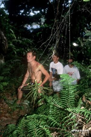 Original 2123 px/ 3200 px