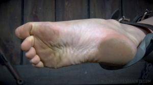 Original 1200 px/ 675 px