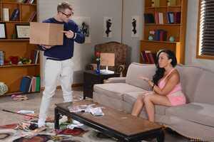 Original 2492 px/ 1663 px