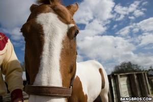 Original 800 px/ 533 px