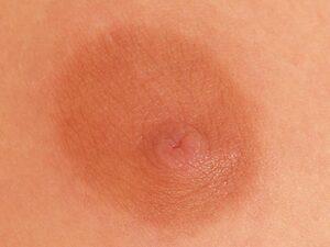 Original 1024 px/ 768 px