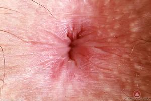 Original 5000 px/ 3333 px