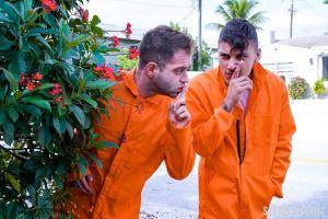 Original 1620 px/ 1080 px