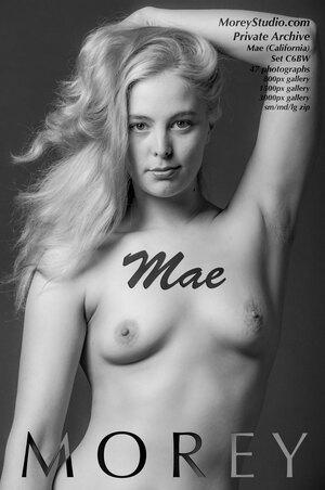 #MoreyStudio Mae - C6BW