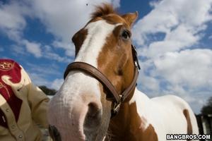 Original 800 px/ 533 px