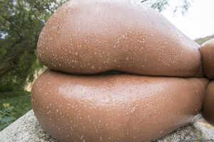 Original 2495 px/ 1663 px