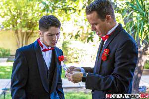 Original 1903 px/ 1269 px