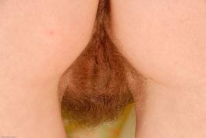 Original 3000 px/ 2008 px