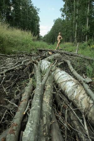 Original 2592 px/ 3888 px