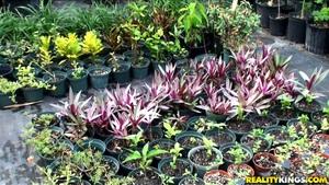 Original 3840 px/ 2160 px