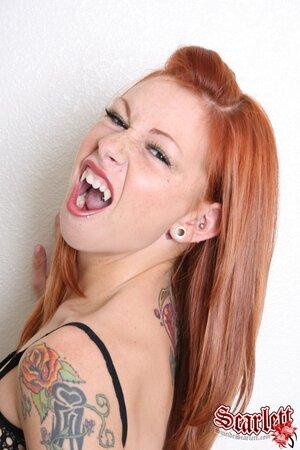 Original 1152 px/ 1728 px