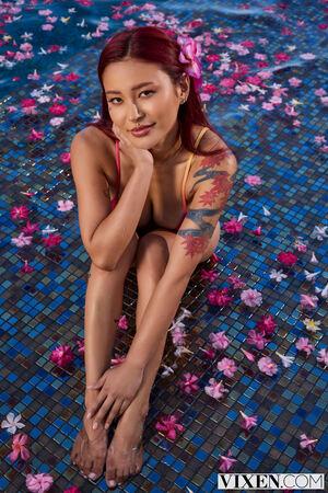 Original 2000 px/ 2999 px