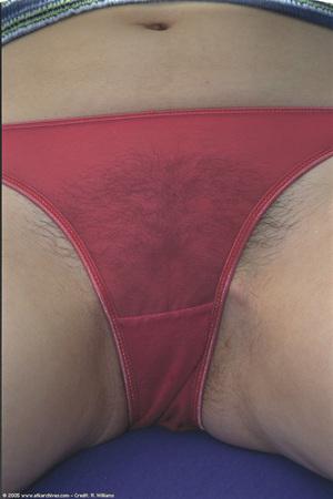 Original 682 px/ 1024 px