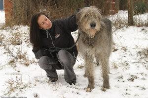 Original 1536 px/ 1024 px