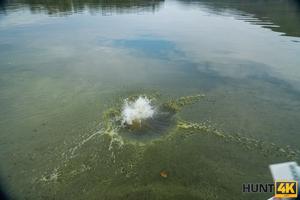 Original 4090 px/ 2727 px