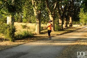 Original 2000 px/ 1331 px