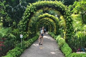 Original 3000 px/ 2000 px