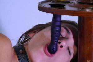 Original 6000 px/ 4000 px