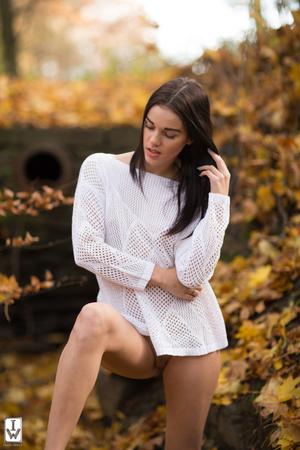 Original 2000 px/ 3000 px