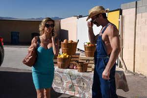 Original 2491 px/ 1663 px