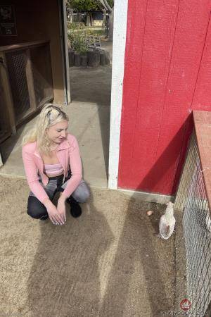 Original 2000 px/ 3000 px