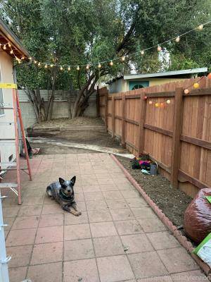 Original 3024 px/ 4032 px