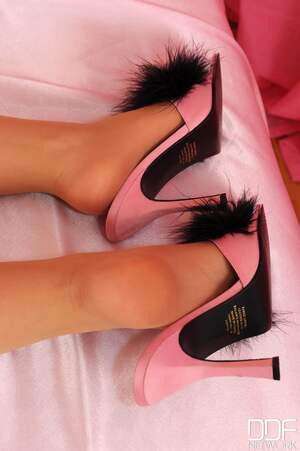 Original 1331 px/ 2000 px