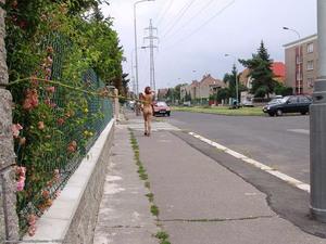 Original 1024 px/ 768 px