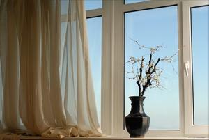 Original 3000 px/ 2008 px