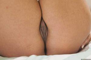 Original 2495 px/ 1663 px