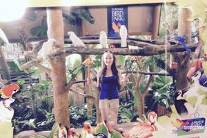 Original 3000 px/ 2000 px