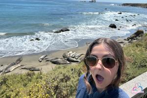 Original 3000 px/ 2000 px