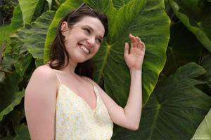 Original 4000 px/ 2667 px