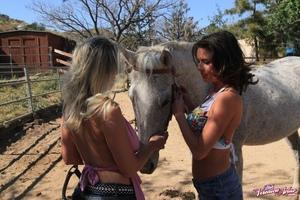 Original 1600 px/ 1066 px