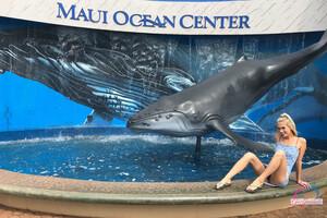 Original 3000 px/ 2000 px