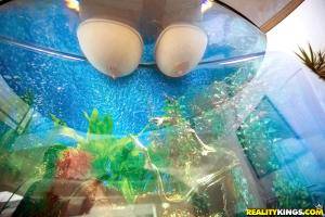 Original 900 px/ 600 px