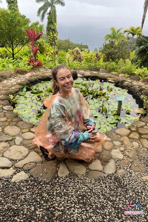 Original 2000 px/ 3000 px