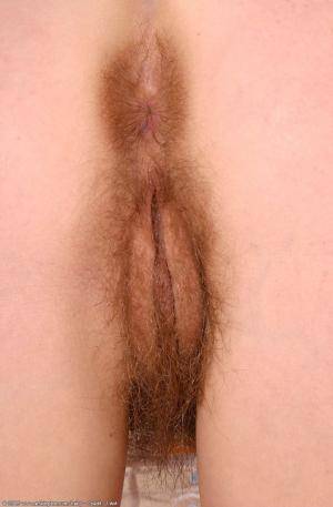 Original 672 px/ 1024 px