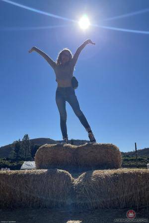 Original 2000 px/ 3000 px